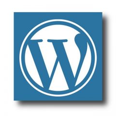 for_tricks_about_wordpress_check_this_article_out.jpg